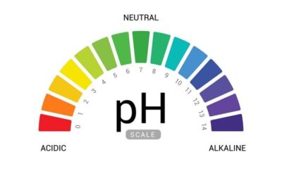Body pH is an ideal indicator of overall body health